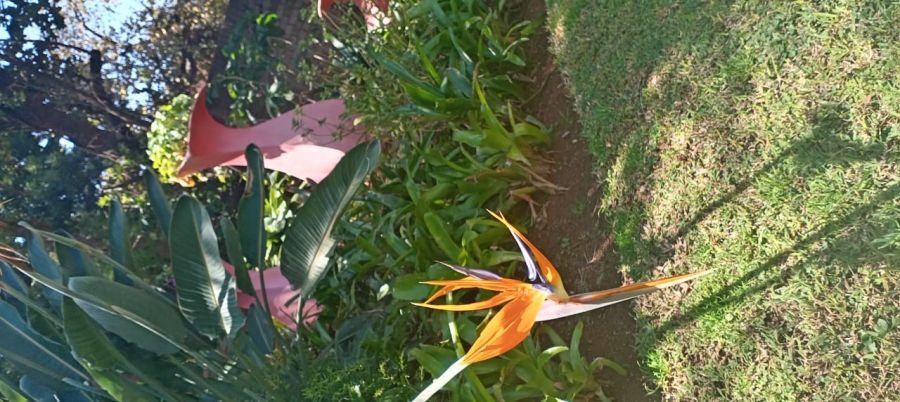 3 Bedroom Property for Sale in Safari Gardens North West